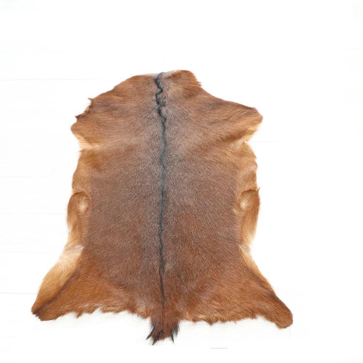 Whole Goatskin Tapestry Floor Mat Carpet, Scandinavian Simple Sofa Cushion, Chair Cushion, Natural Animal Skin, Photo