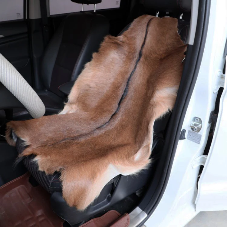 Whole Goatskin Tapestry Floor Mat Carpet, Scandinavian Simple Sofa Cushion, Chair Cushion, Natural Animal Skin, Photo