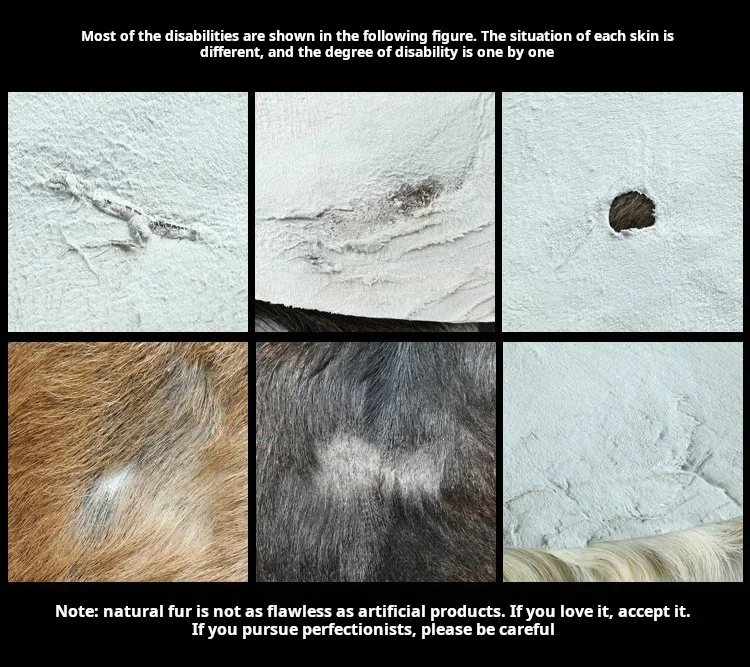 Whole Goatskin Tapestry Floor Mat Carpet, Scandinavian Simple Sofa Cushion, Chair Cushion, Natural Animal Skin, Photo Whole Goatskin Tapestry Floor Mat Carpet, Scandinavian Simple Sofa Cushion, Chair Cushion, Natural Animal Skin, Photo