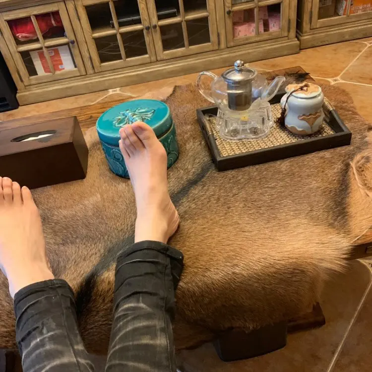 Whole Goatskin Tapestry Floor Mat Carpet, Scandinavian Simple Sofa Cushion, Chair Cushion, Natural Animal Skin, Photo