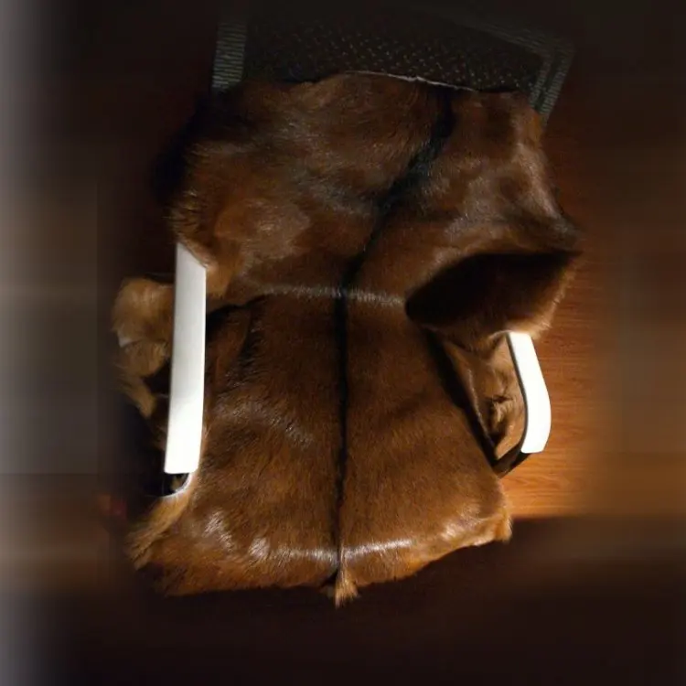 Whole Goatskin Tapestry Floor Mat Carpet, Scandinavian Simple Sofa Cushion, Chair Cushion, Natural Animal Skin, Photo